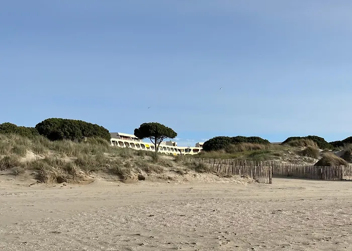 Climatise Vue Acces Direct Et Piscine Le Grau-du-Roi
