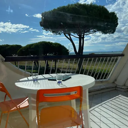 Anny Climatise Vue Avec Piscine * Le Grau-du-Roi