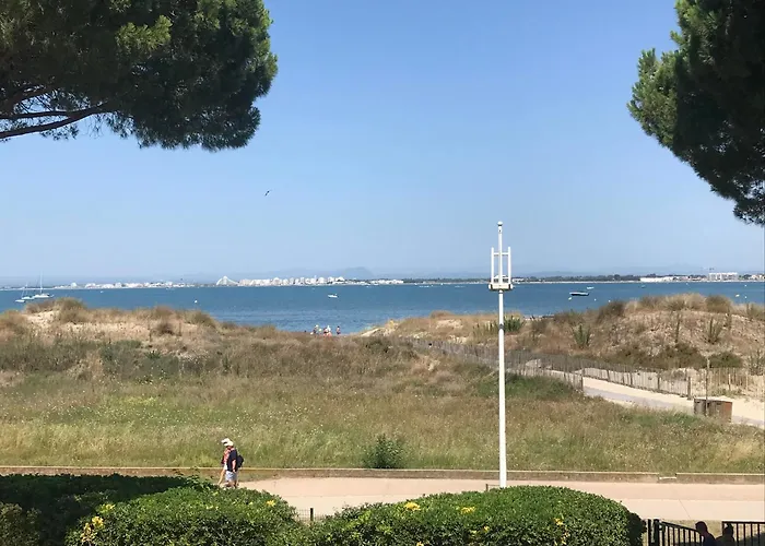 Climatise Vue Acces Direct Et Piscine * Le Grau-du-Roi