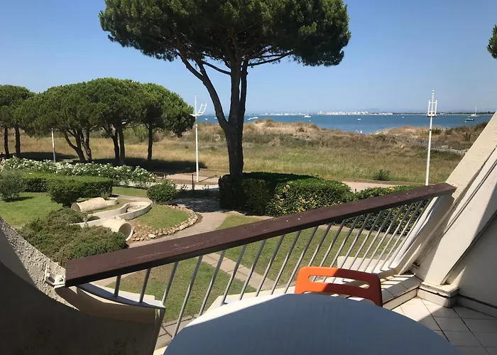 Climatise Vue Acces Direct Et Piscine Apartment Le Grau-du-Roi