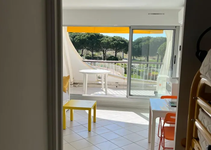 Climatise Vue Acces Direct Et Piscine Le Grau-du-Roi